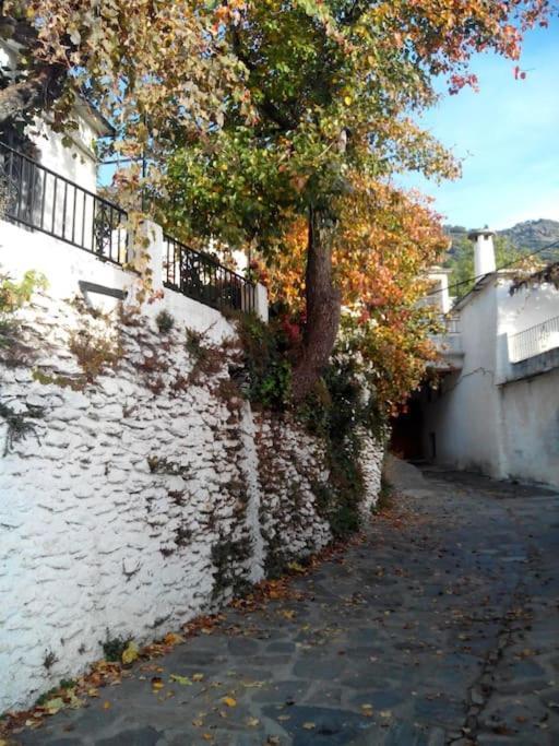 Villa Casa Margarita Bubión Esterno foto