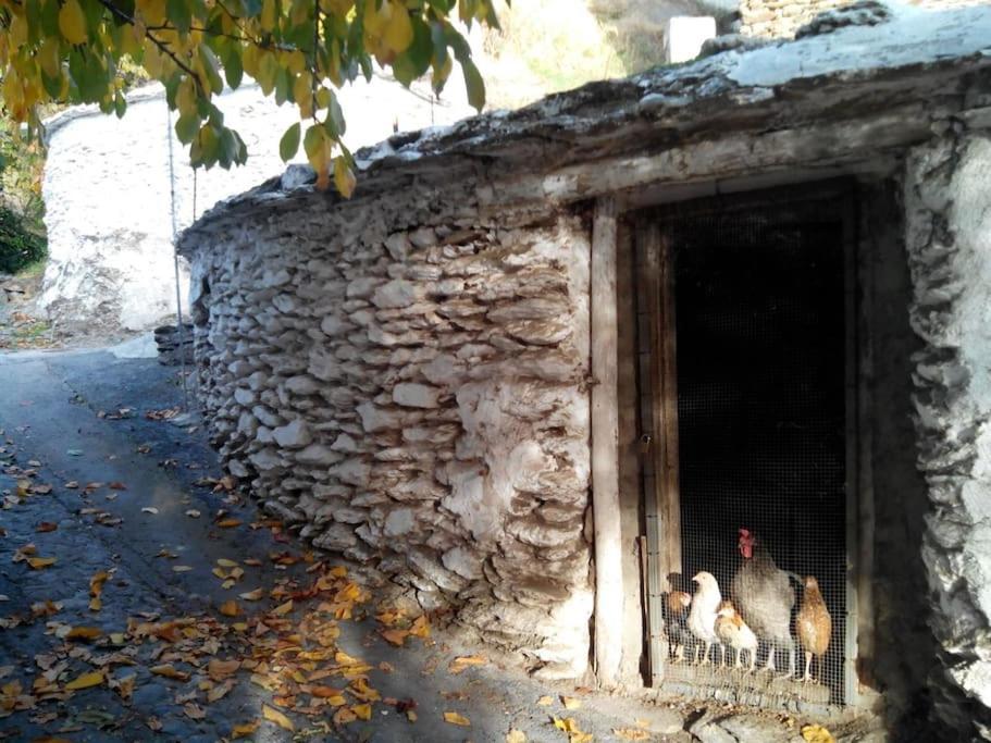 Villa Casa Margarita Bubión Esterno foto